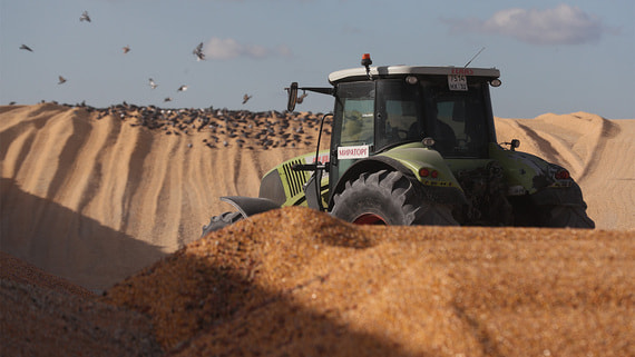 Экспорт продукции АПК России составил $41,6 млрд в 2025 году