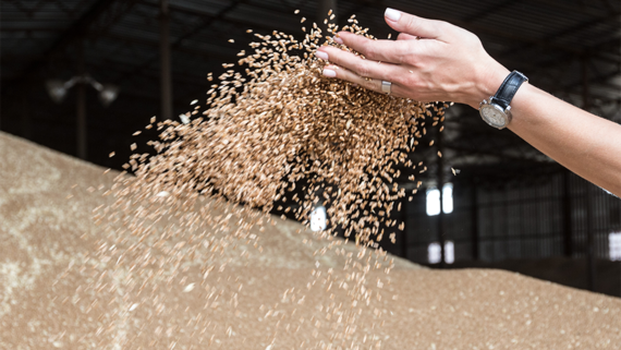 Правительство направит 90 млрд рублей на поддержку аграриев в регионах