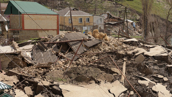 Путин поручил помочь с восстановлением неоформленного жилья в Дагестане