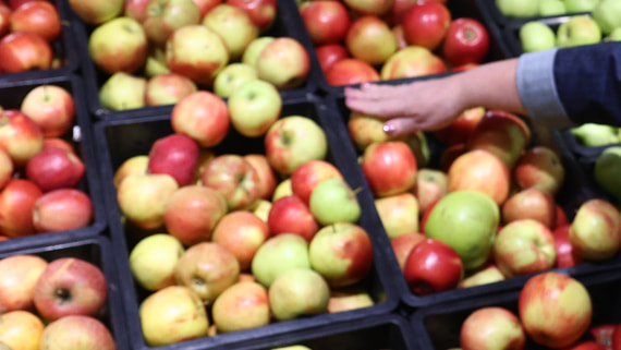 Трутнев потребовал объяснить, почему яблоки на Чукотке стоят 1000 рублей