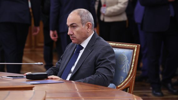Пашинян – о словах Карапетяна про галлюциногенные грибы: заставлю съесть тонну