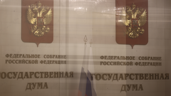 Проект о запрете на выдачу гражданства лицам с судимостью прошел первое чтение