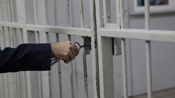 Глава ФСИН Гостев объяснил рекордное сокращение числа заключенных