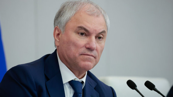 Володин: оскорблявших защитников РФ релокантов ждет судебное разбирательство