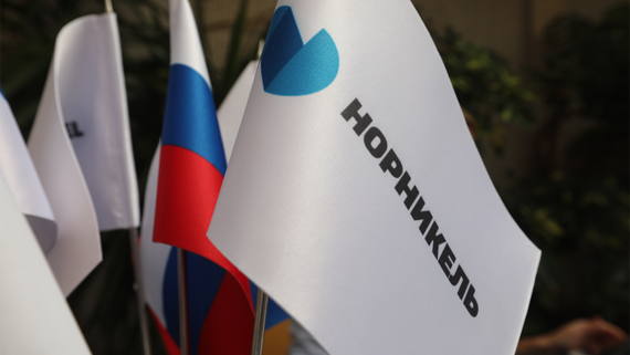 СД «Норникеля» рекомендовал не выплачивать дивиденды за 2025 год