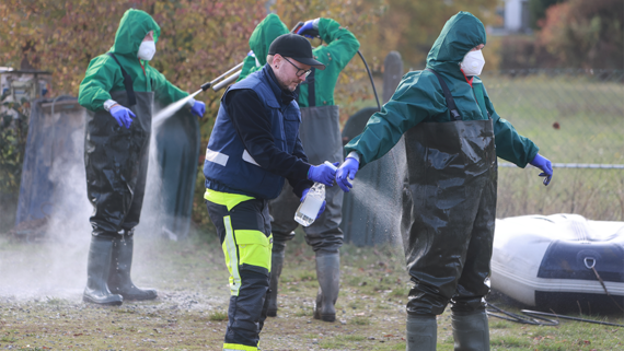 Роспотребнадзор зарегистрировал тест-набор на птичий грипп A(H5N8)