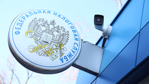 Шепелева: ФНС берет данные по трансграничным сделкам у самих компаний