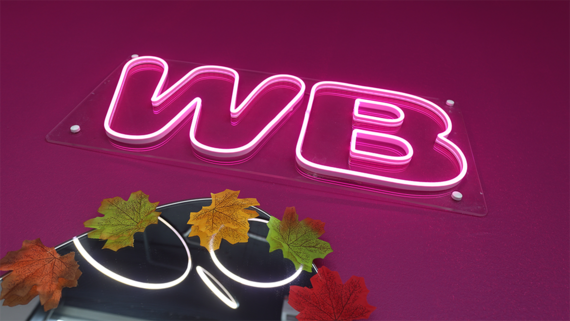 Власти Латвии заблокировали доступ к Wildberries
