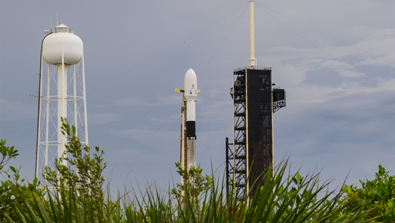 Акции SpaceX упали на 9% после начала размещения облигаций
