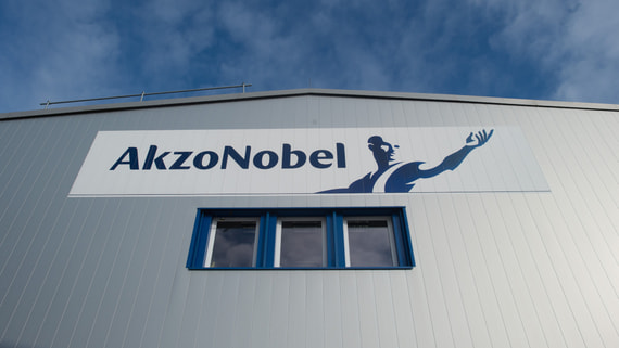 Путин передал активы Akzo Nobel под временное управление АО «РСА»