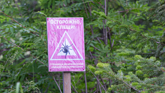 Общество