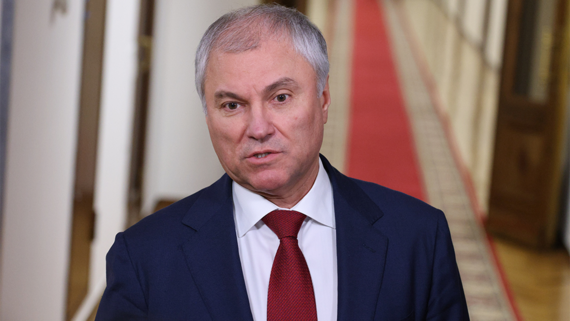 Володин зарегистрирован кандидатом в депутаты