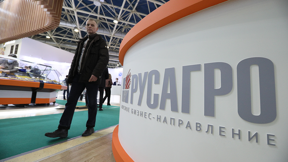 Акции «Русагро» упали на 9% на фоне приостановки работы зернового терминала