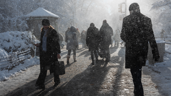 Трамп усомнился в глобальном потеплении из-за снежного шторма в США