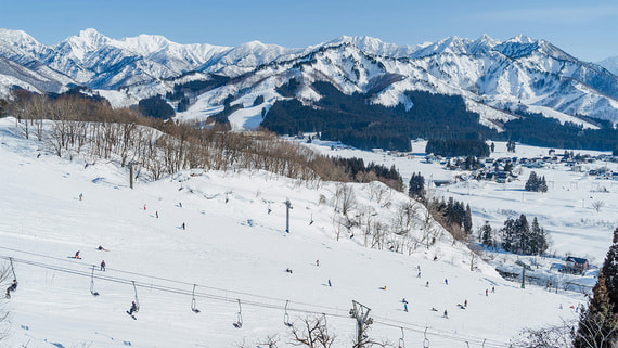 Россиянин погиб под лавиной на горнолыжном курорте в Японии