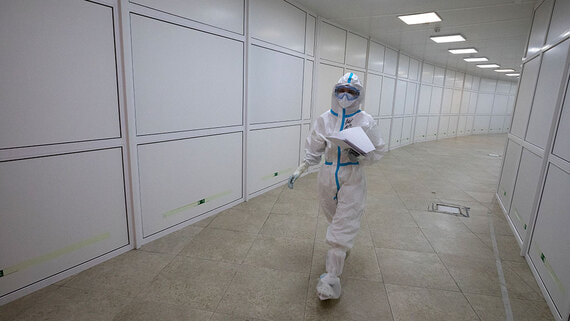 В Домодедовскую больницу поступил второй пациент с оспой обезьян